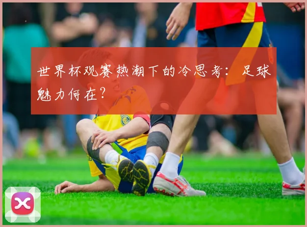 世界杯观赛热潮下的冷思考：足球魅力何在？