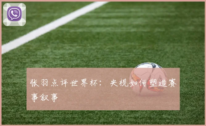 张羽点评世界杯：央视如何塑造赛事叙事