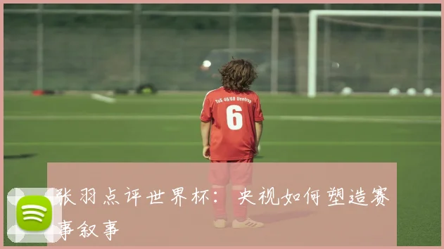 张羽点评世界杯：央视如何塑造赛事叙事